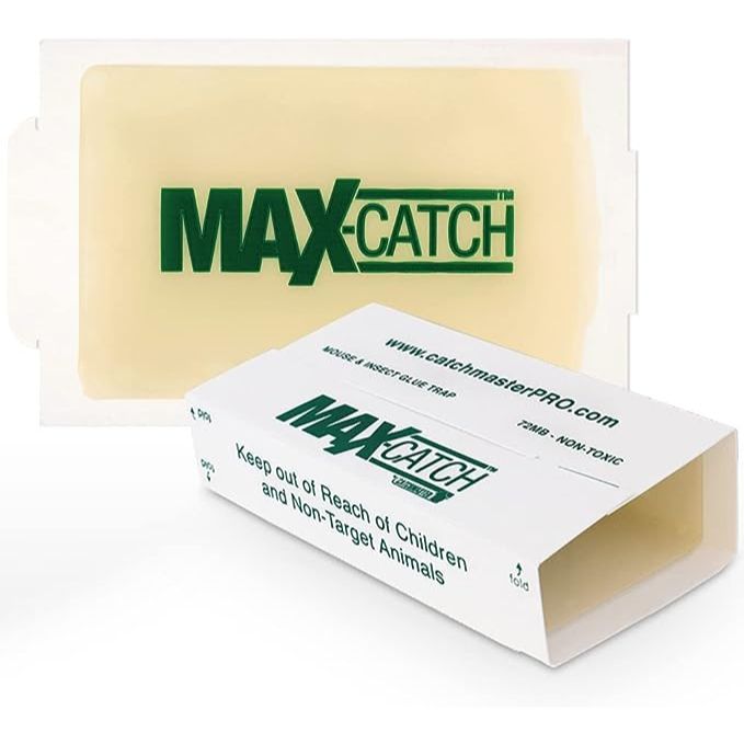 Catchmaster MAXCATCH - 36 pack